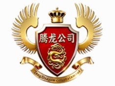 腾龙公司